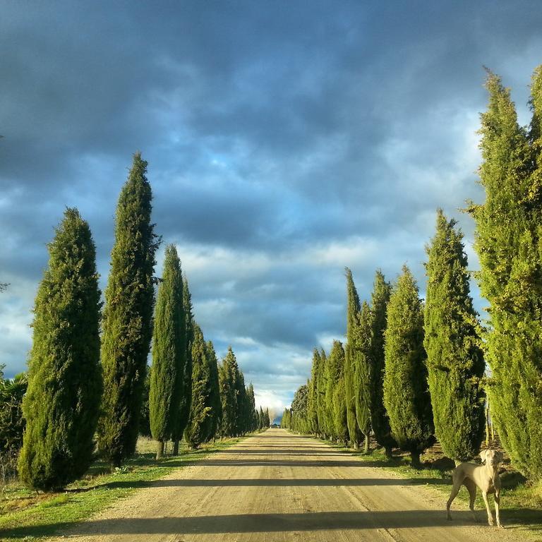Posada Real Castillo Del Buen Amor Topas Экстерьер фото